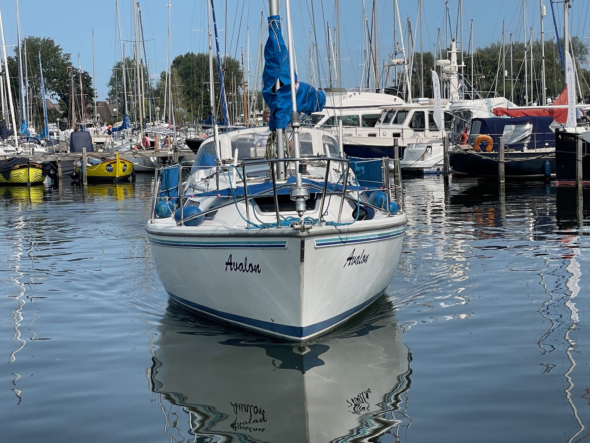 Catalina 270