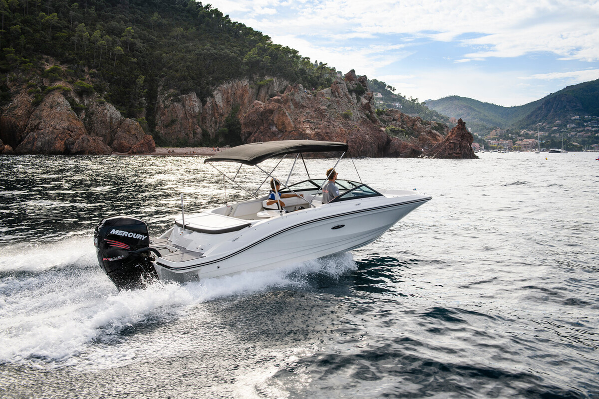 Sea Ray SPX 210 Outboard