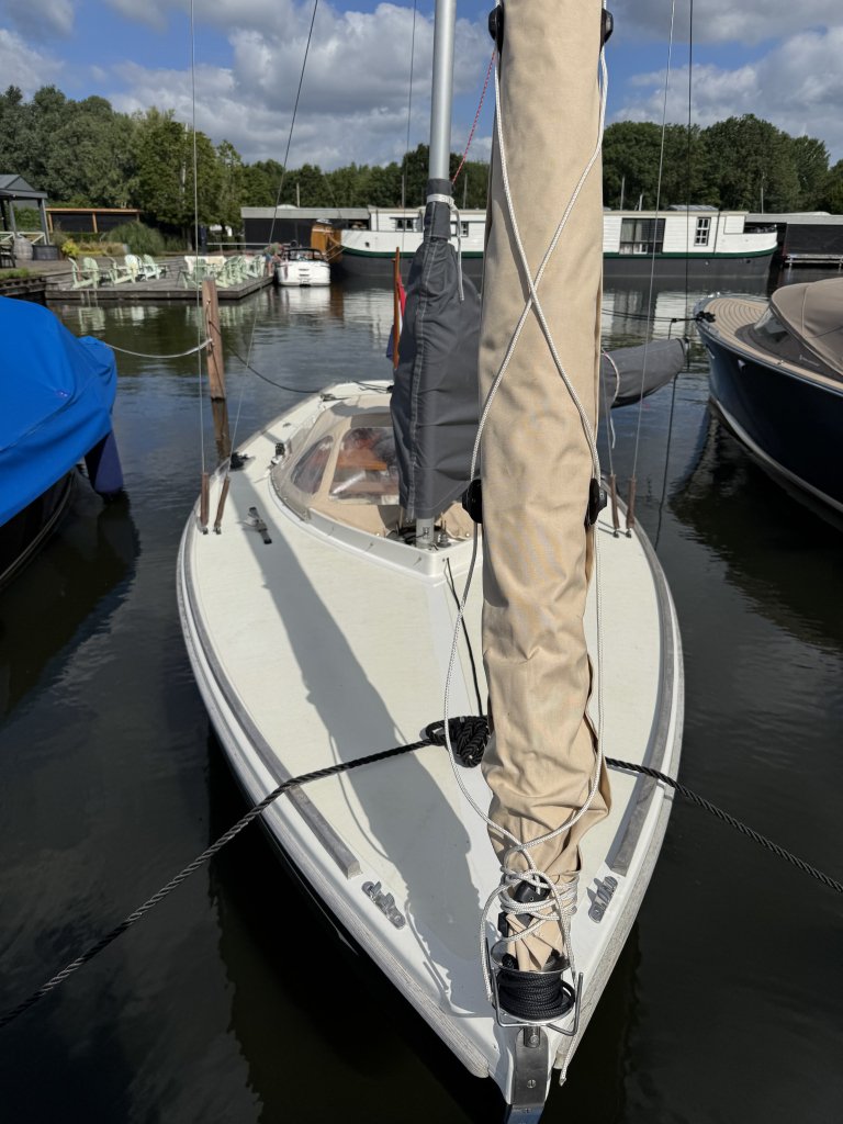 Saffier 650