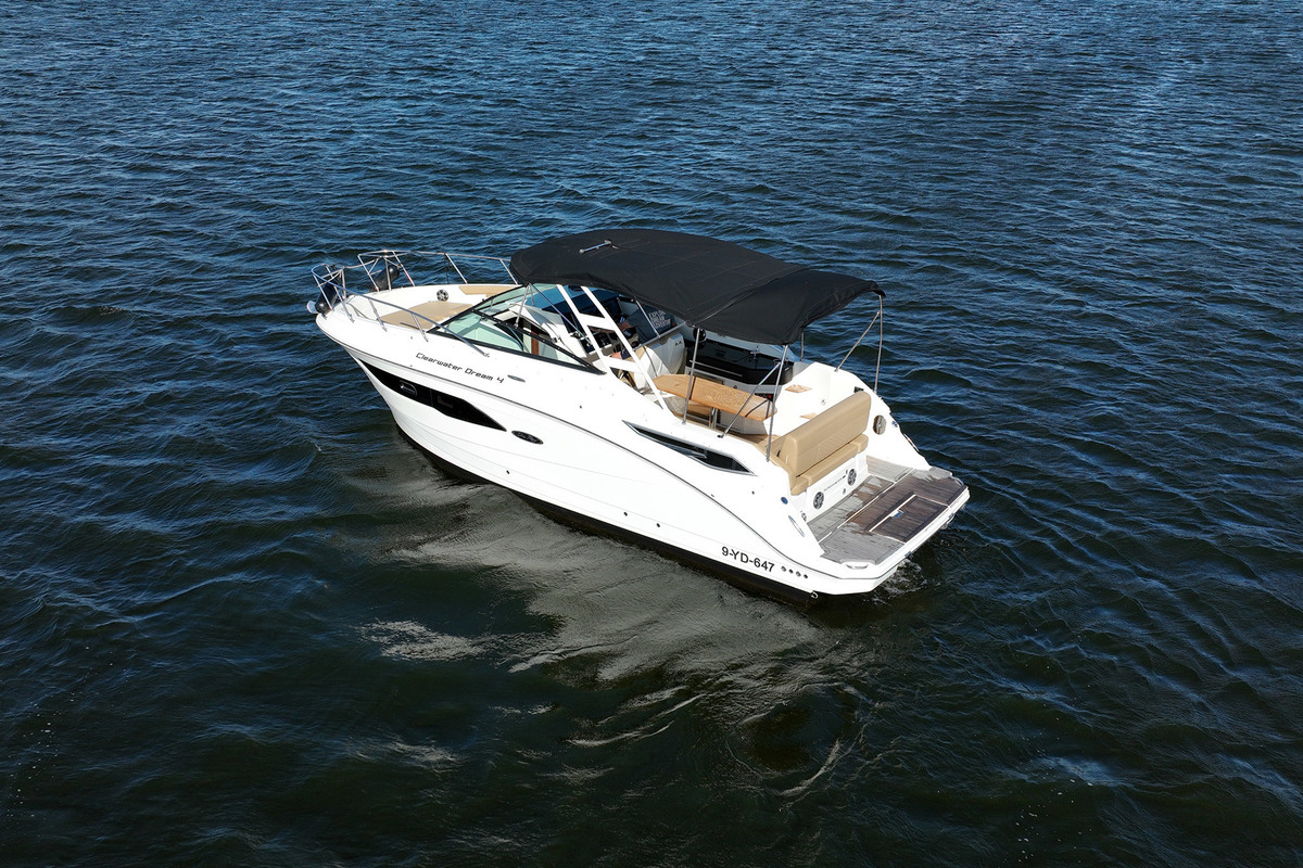 Sea Ray Sundancer 290