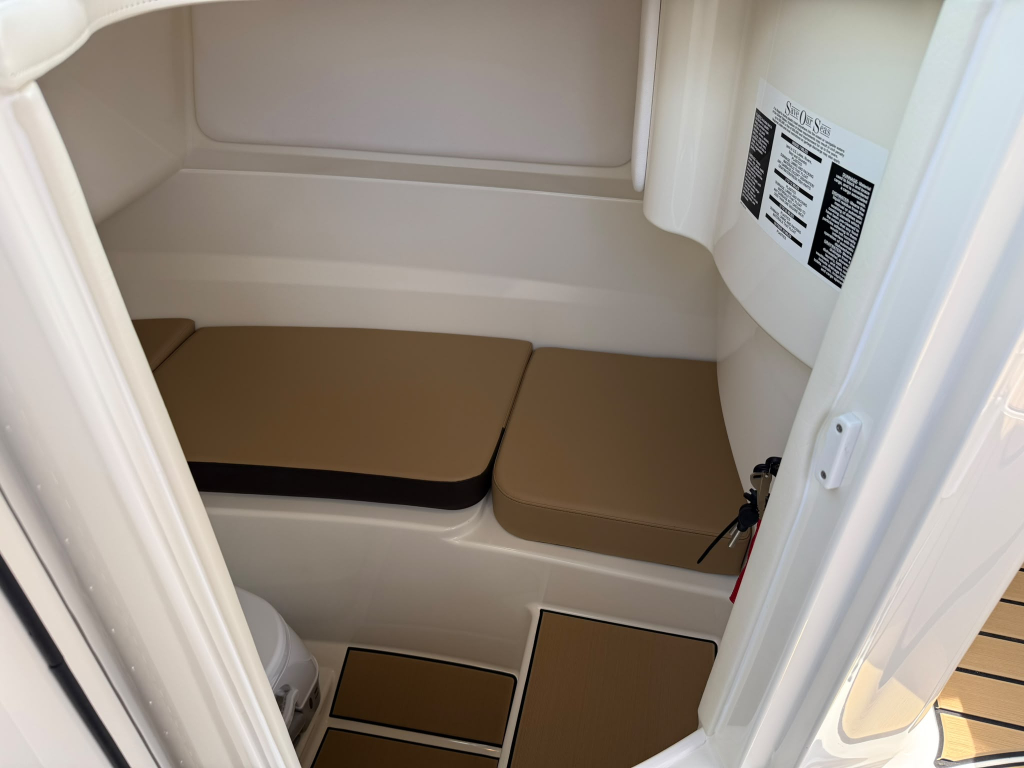 Sea Ray SDX 230