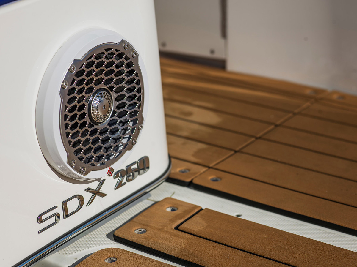 Sea Ray SDX 250