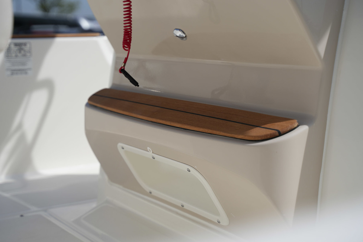 Boston Whaler 210 Montauk