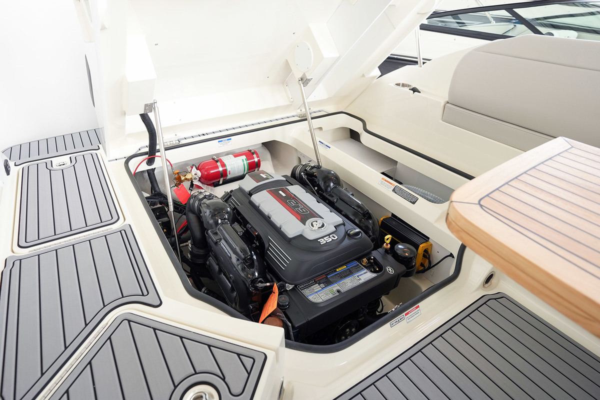 Sea Ray SDX 250