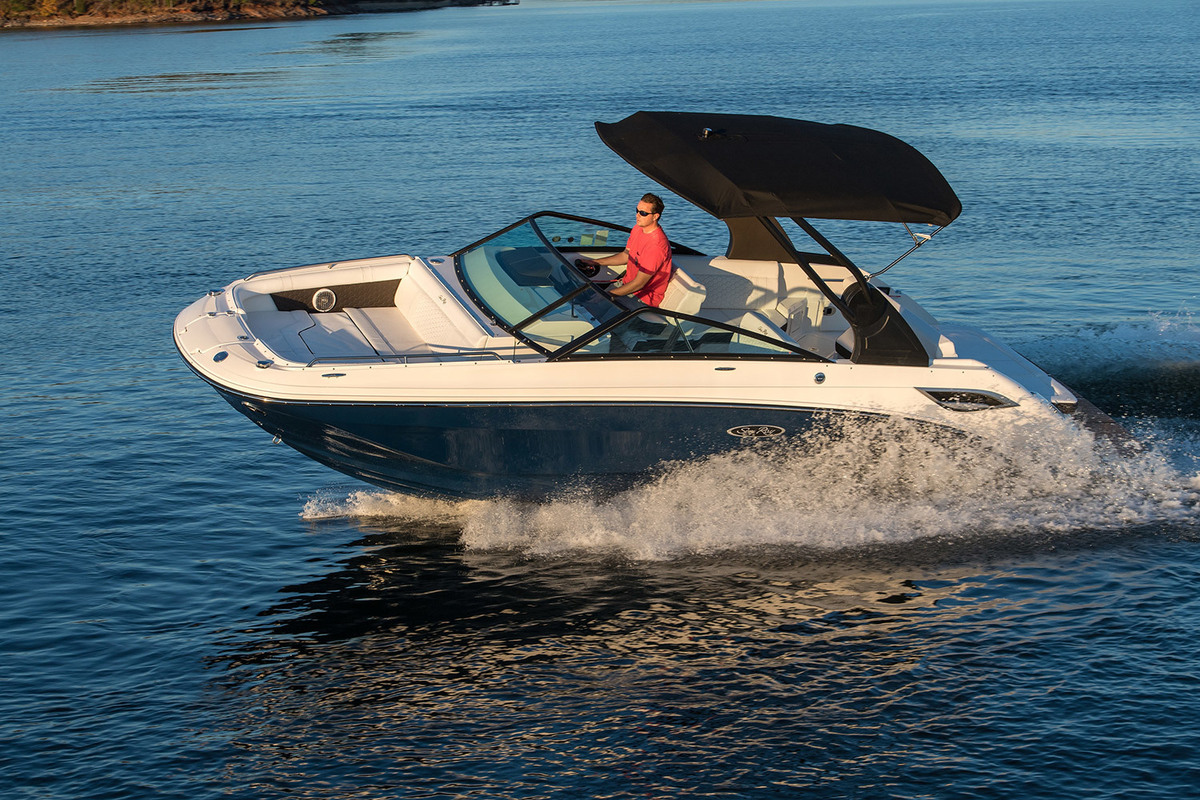 Sea Ray SDX 250