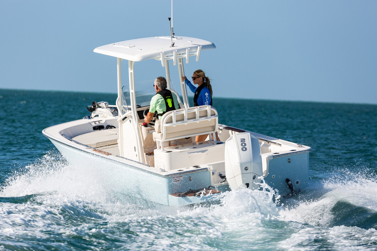 Boston Whaler 210 Montauk