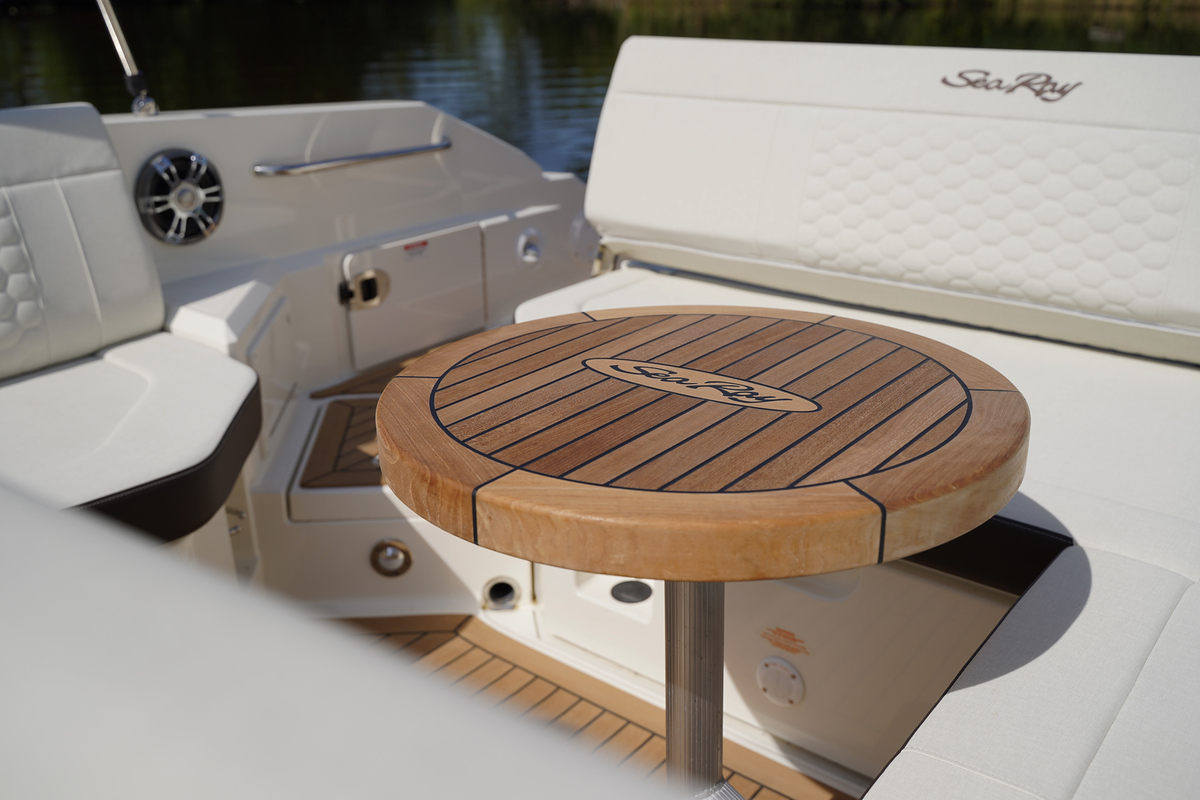 Sea Ray SDX 250 Outboard