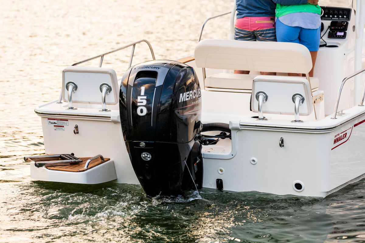 Boston Whaler 190 Montauk