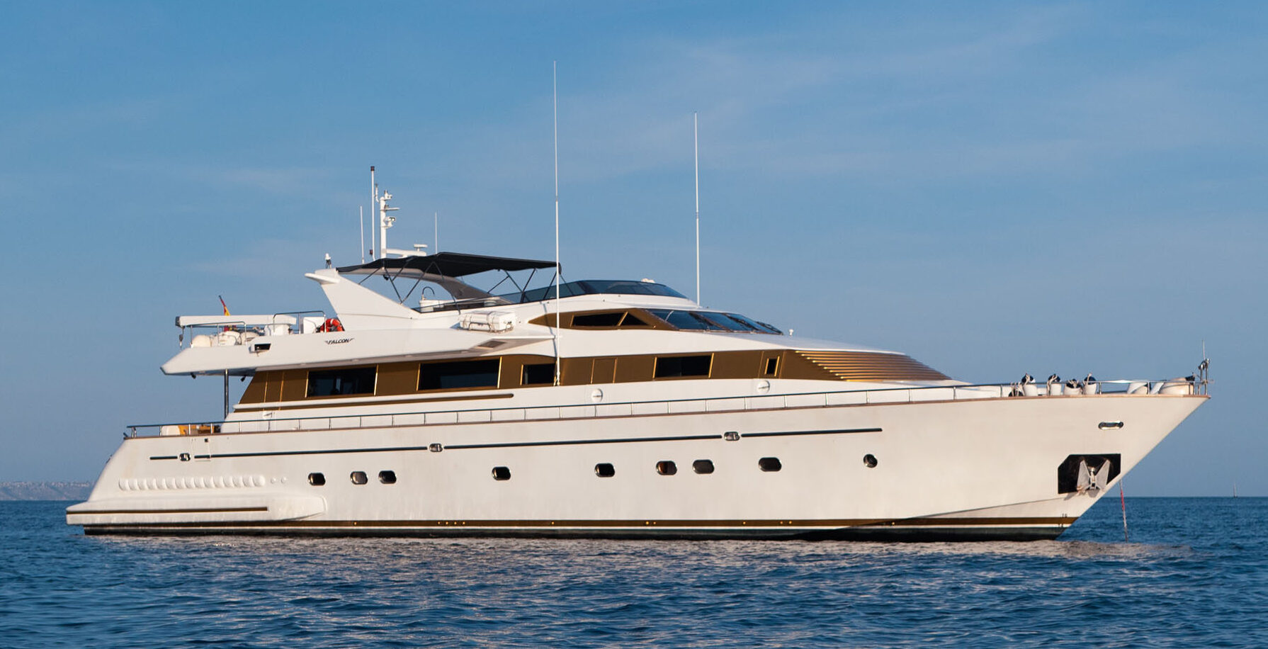 Falcon 100 hoofdfoto: 1