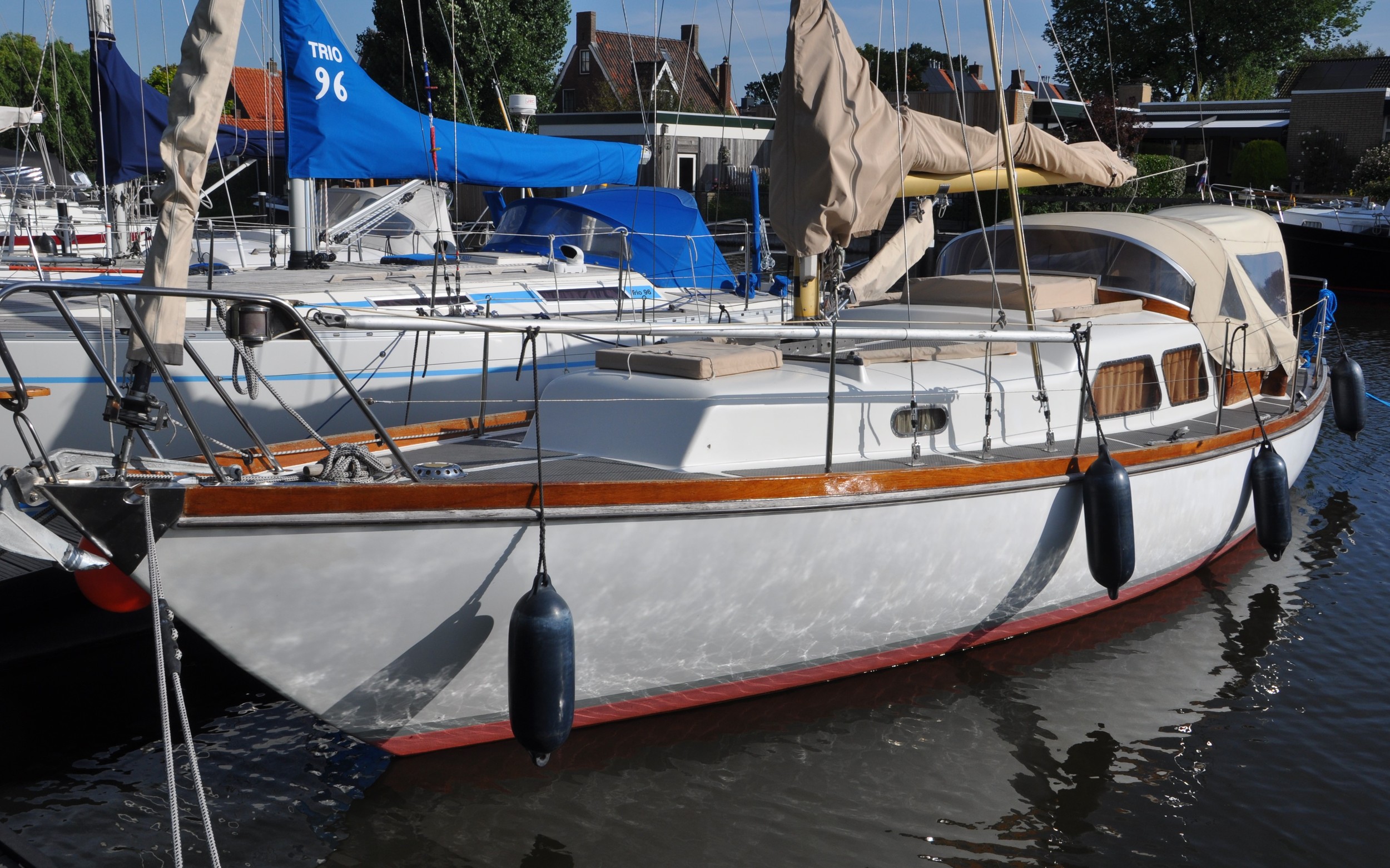 Delphin 66