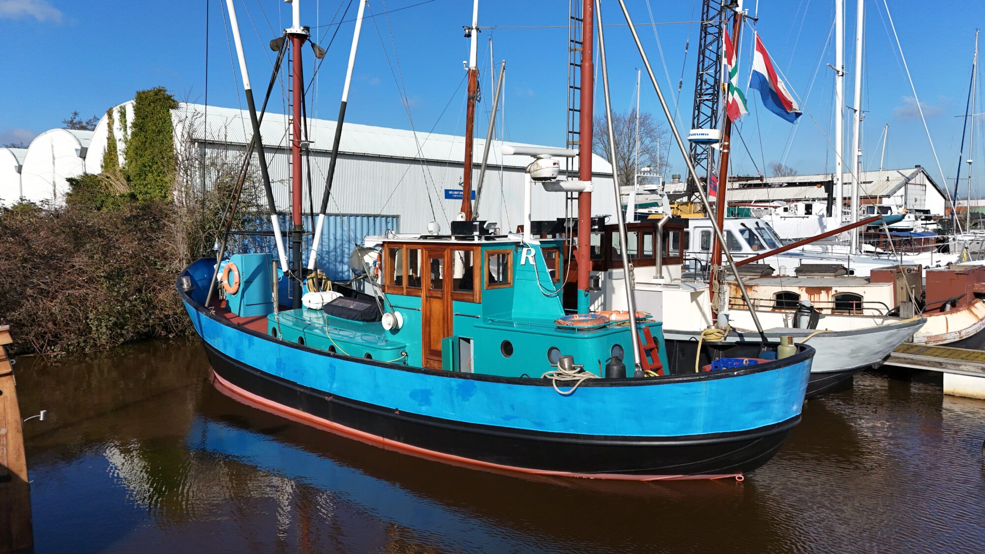 Noordzeekotter ‘WR 134’