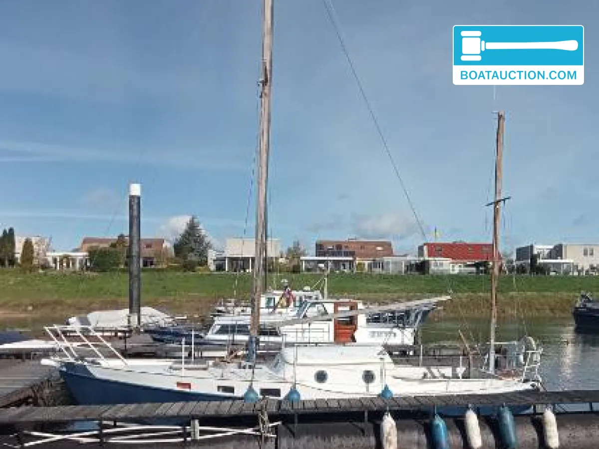 Pieter Beeldsnijder Gouwzee hoofdfoto: 1