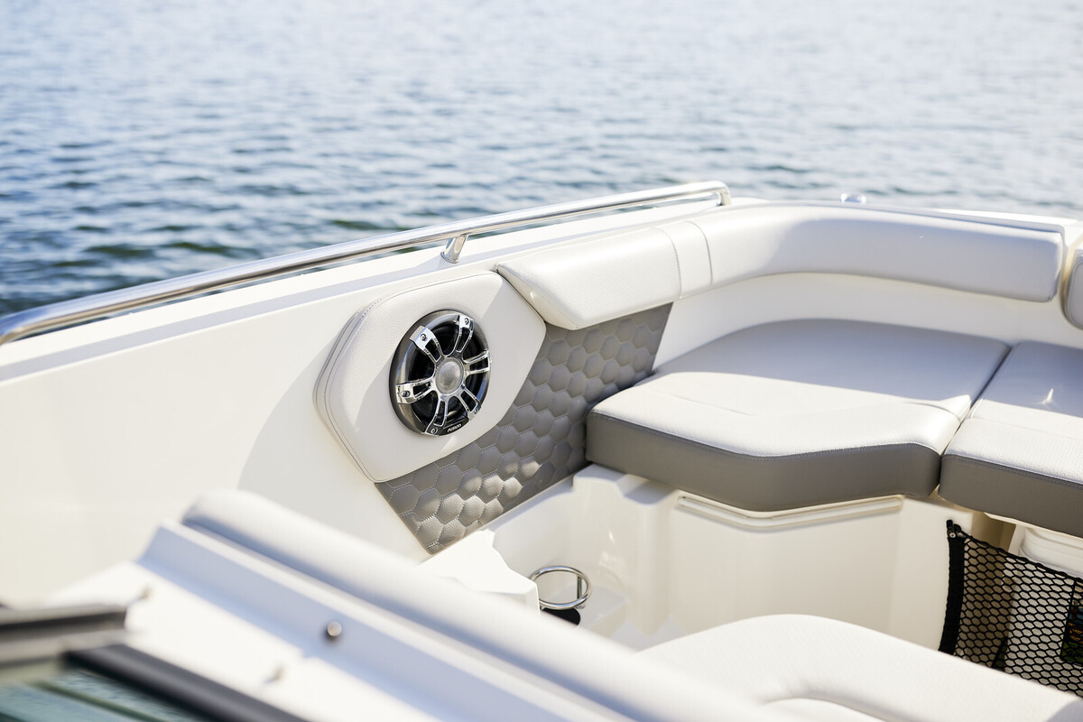 Sea Ray SDX 250