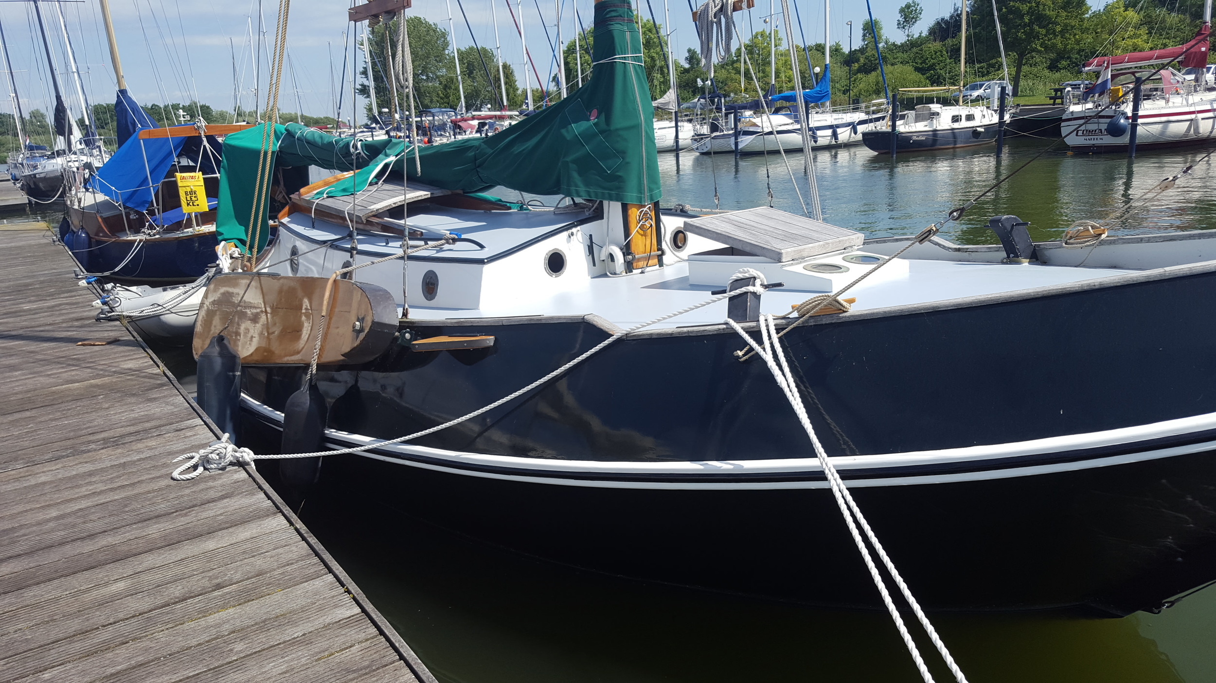 Vredenburgh Schokker 984