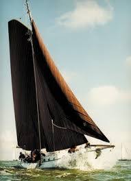 Blom Lemsteraak Roefaak 12.10