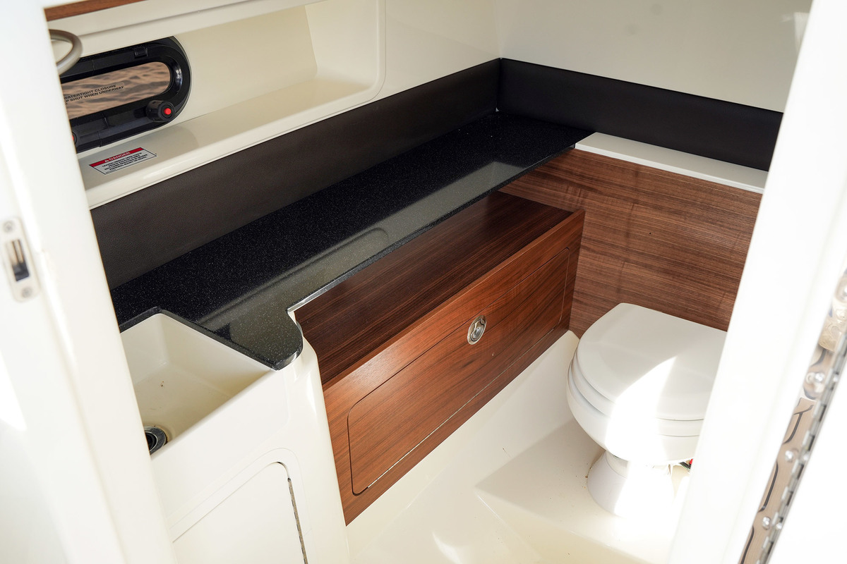 Sea Ray SDX 290 Outboard