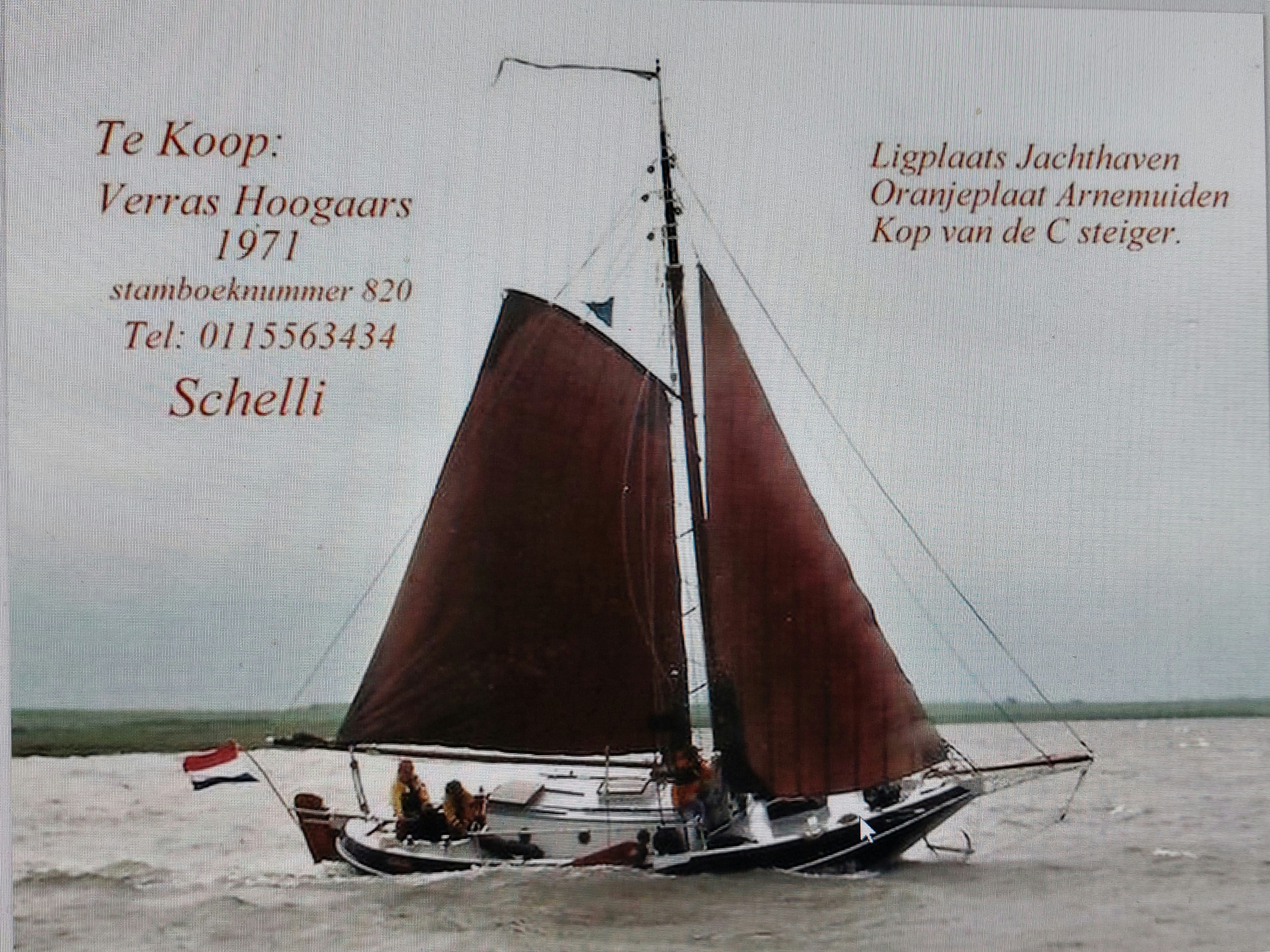 Hoogaars - Platbodem 10.00