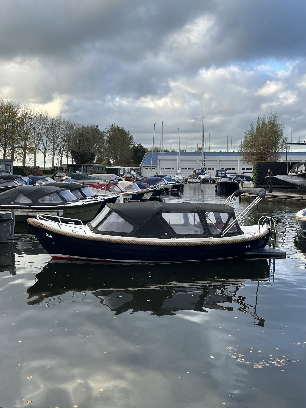 Zarro Excellent 6.50 