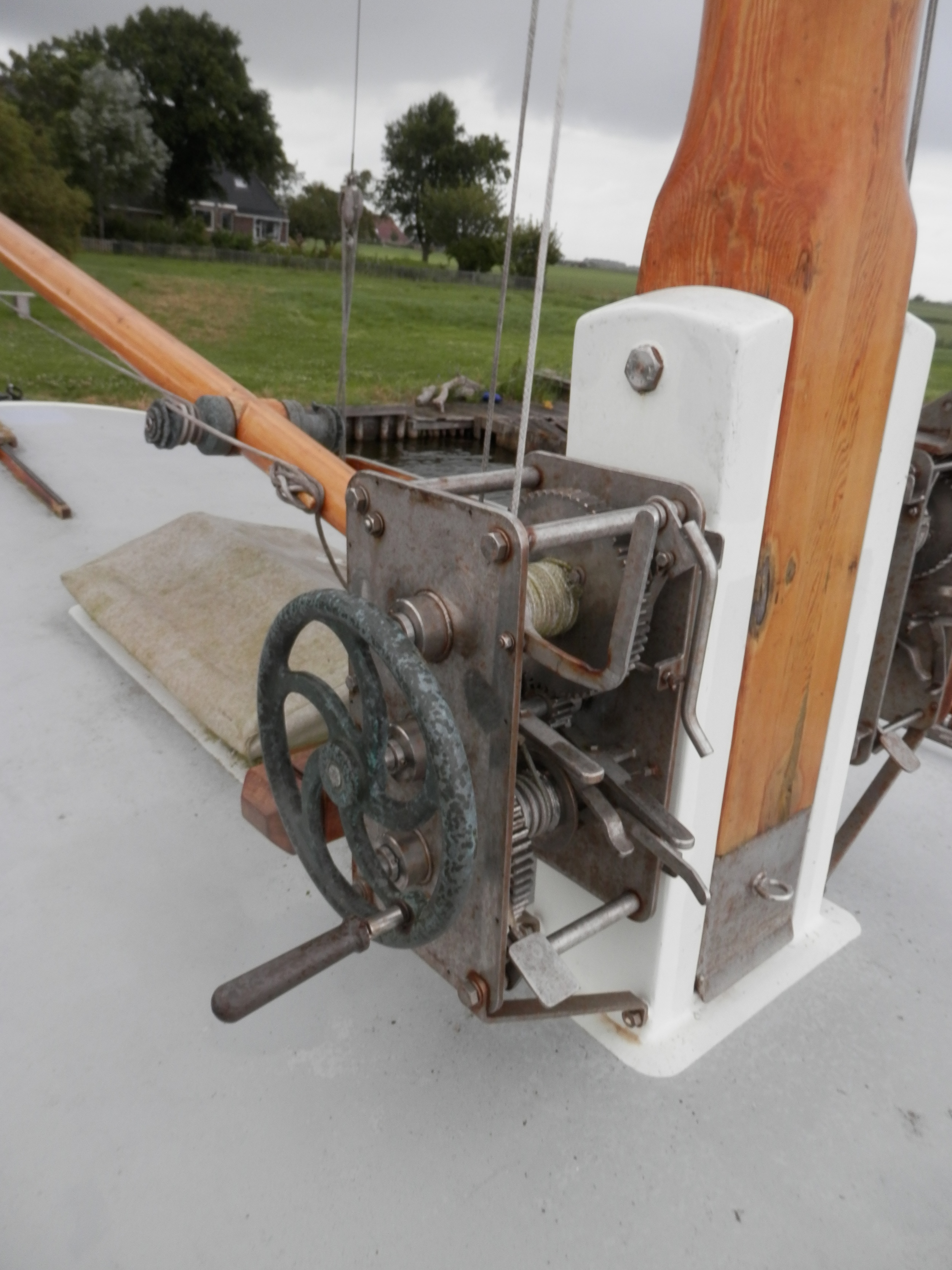 Blom Lemsteraak Roefaak 12.10