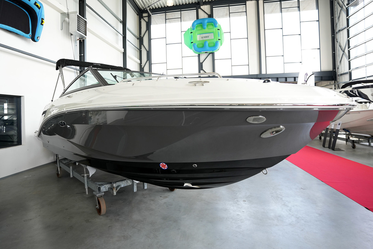 Sea Ray SDX 250