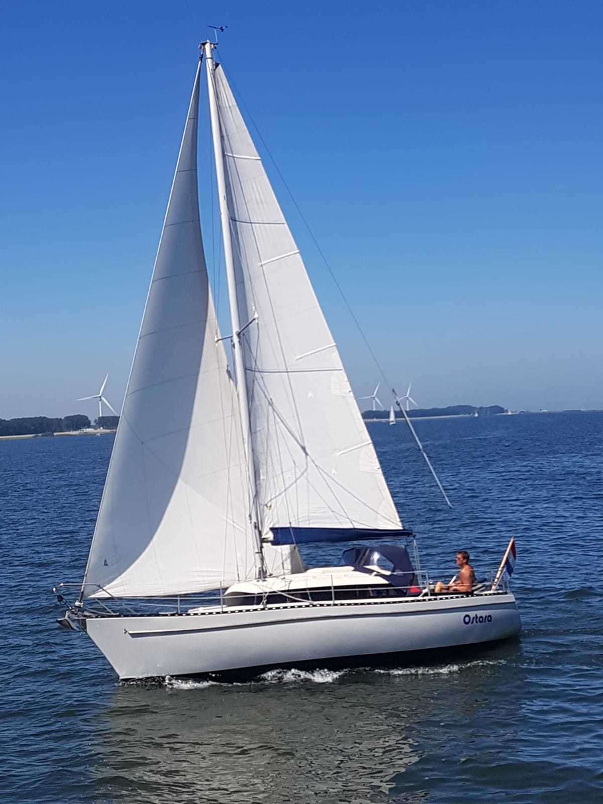 Sturgeon 28