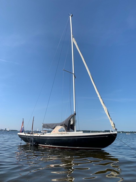 Saffier 650