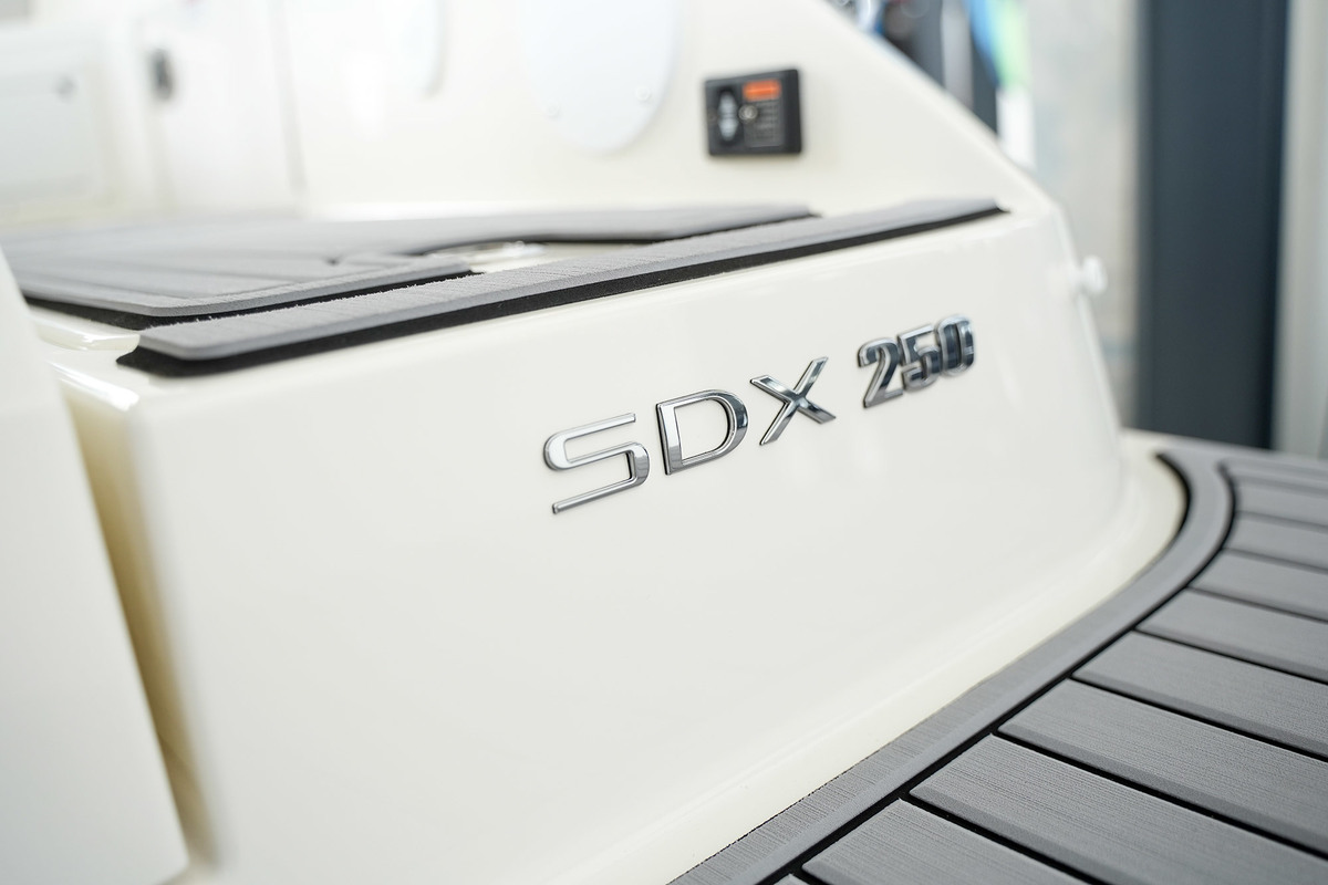 Sea Ray SDX 250