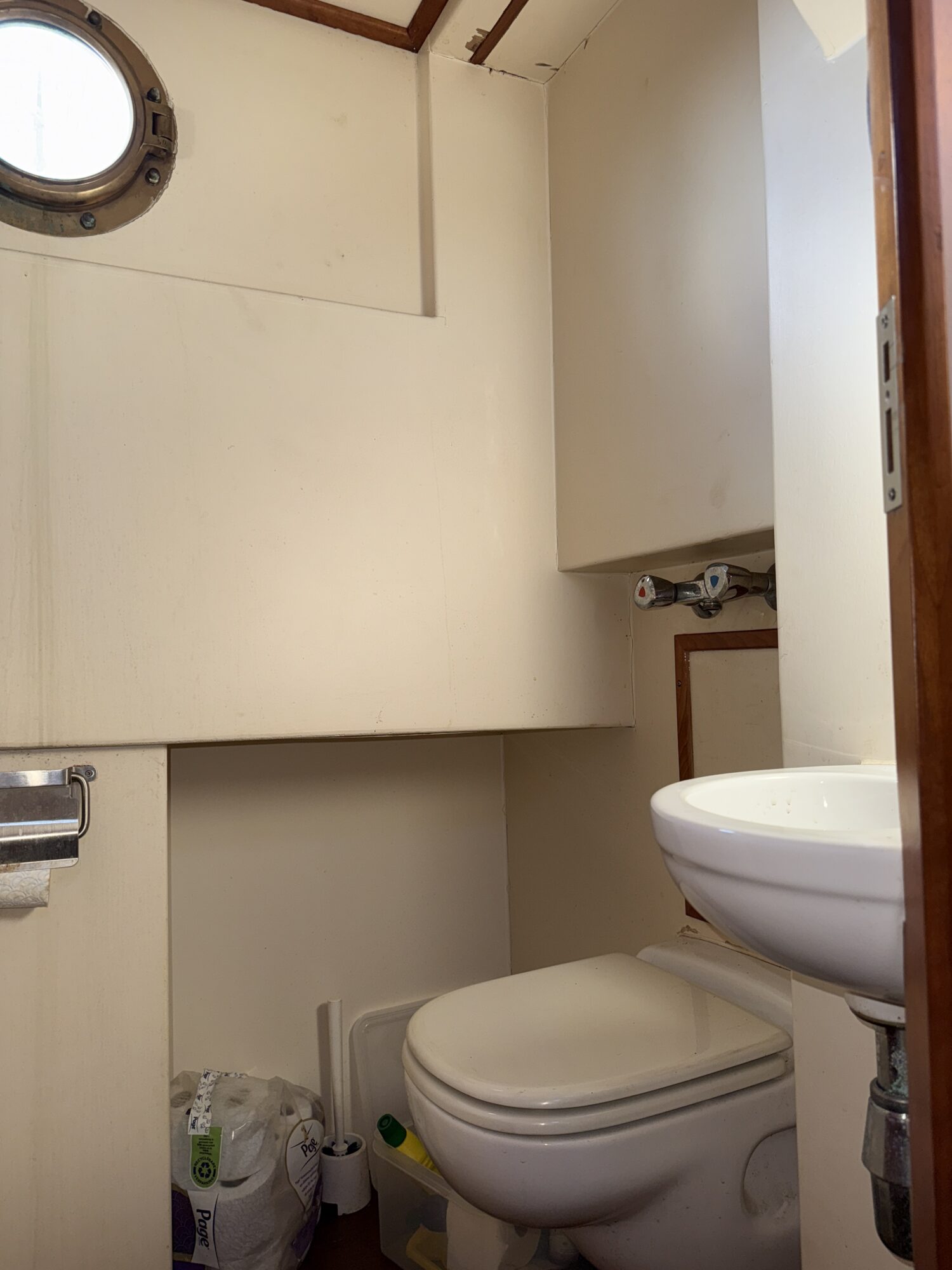 Noordzeekotter ‘WR 134’