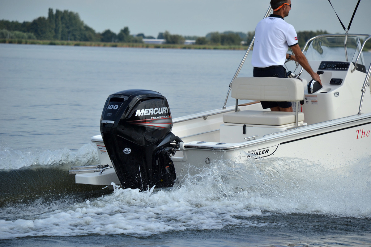 Boston Whaler 170 Montauk