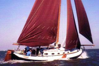 Blom Lemsteraak Roefaak 12.10