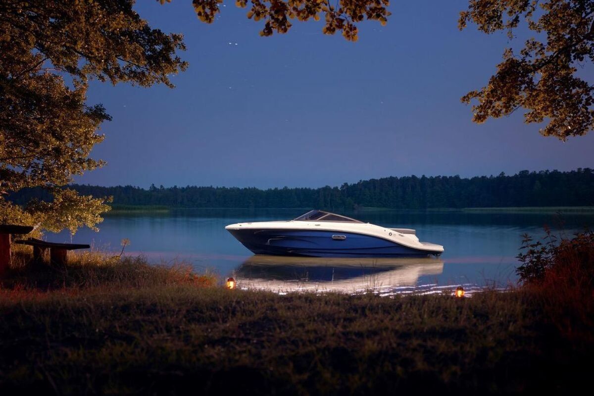 Sea Ray SPX 190 Nieuw Model