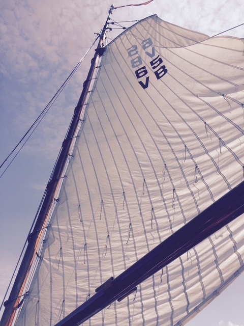 Vollenhovense Bol 9.75