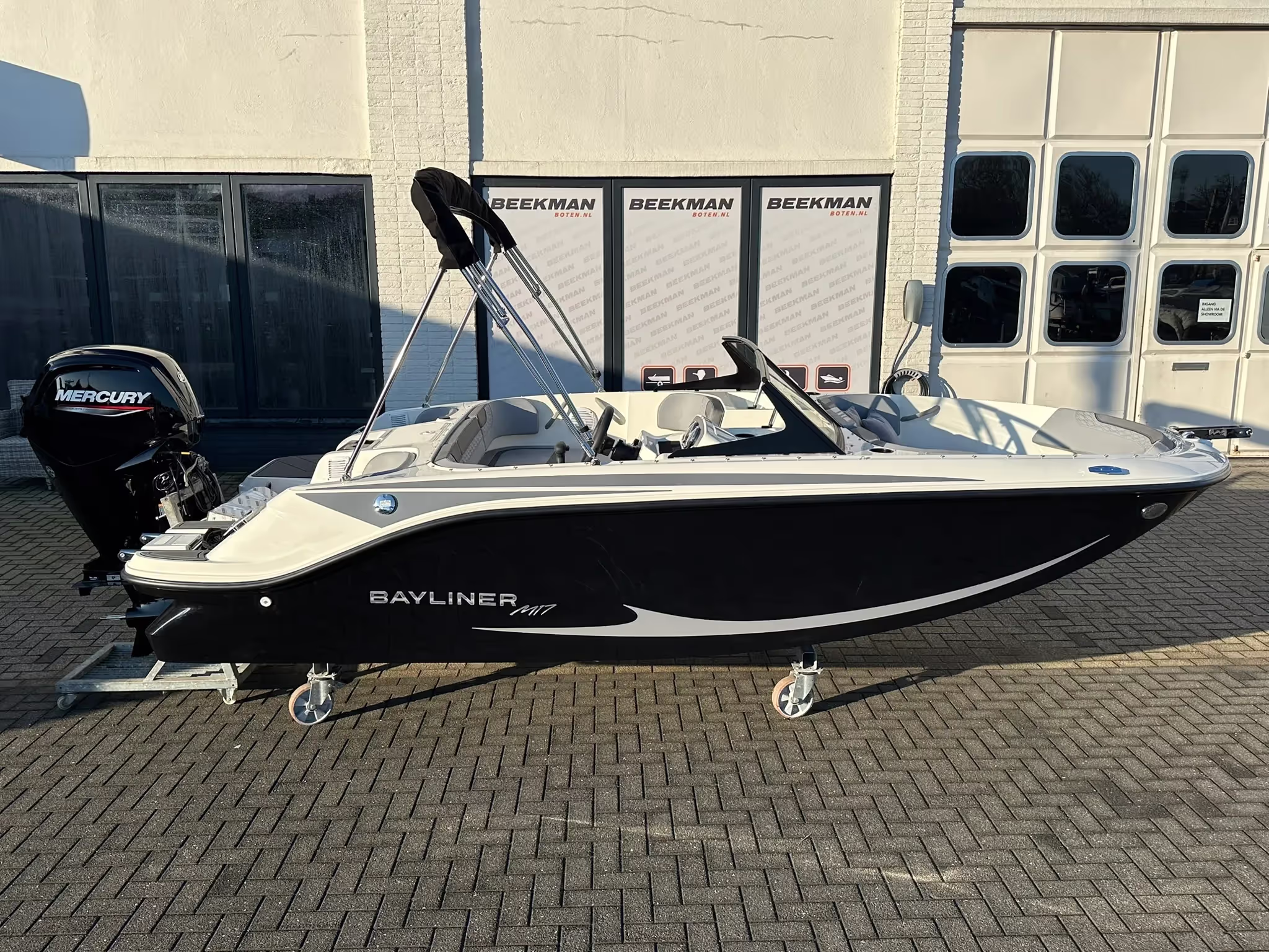 Bayliner Element M17