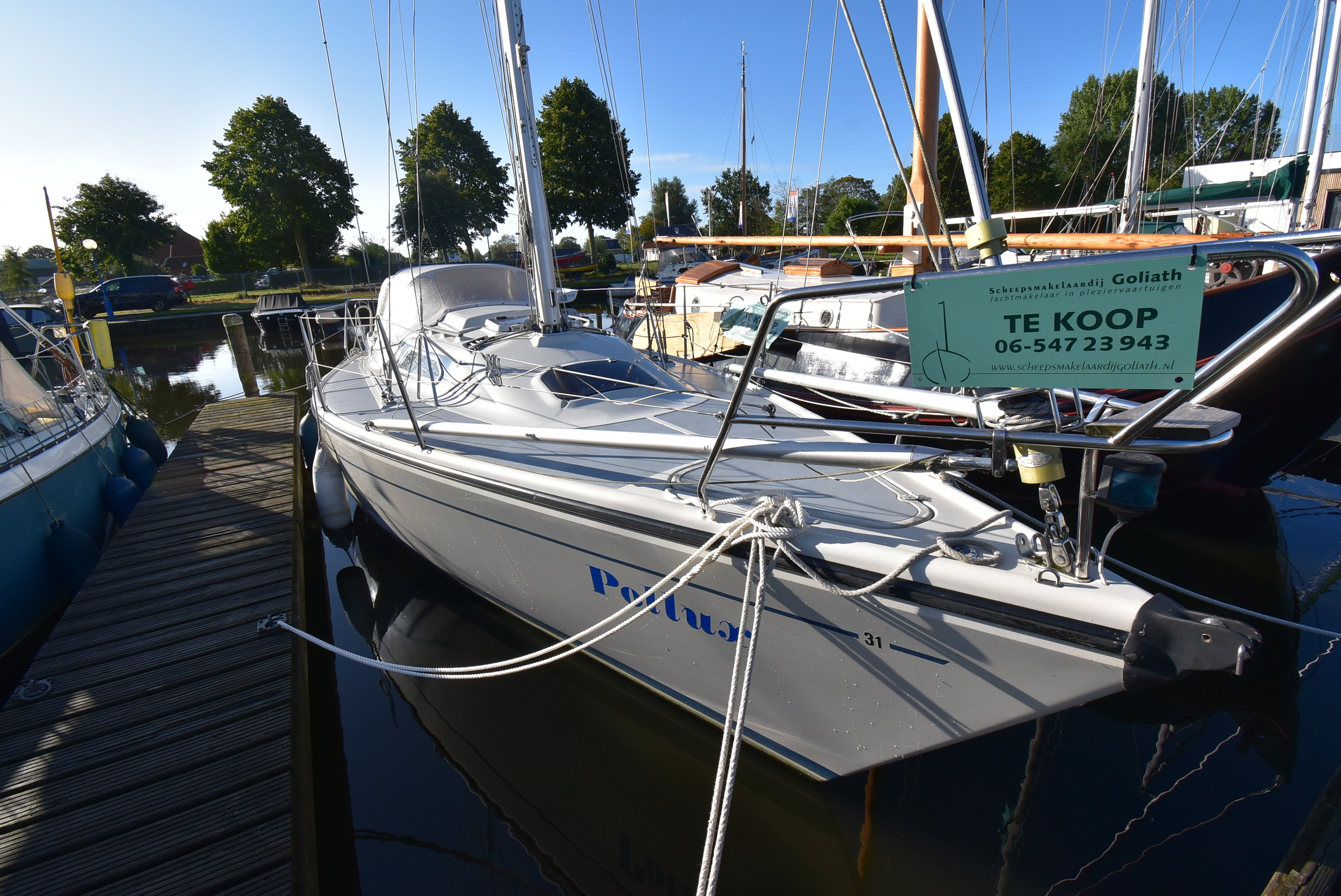 Dehler 31