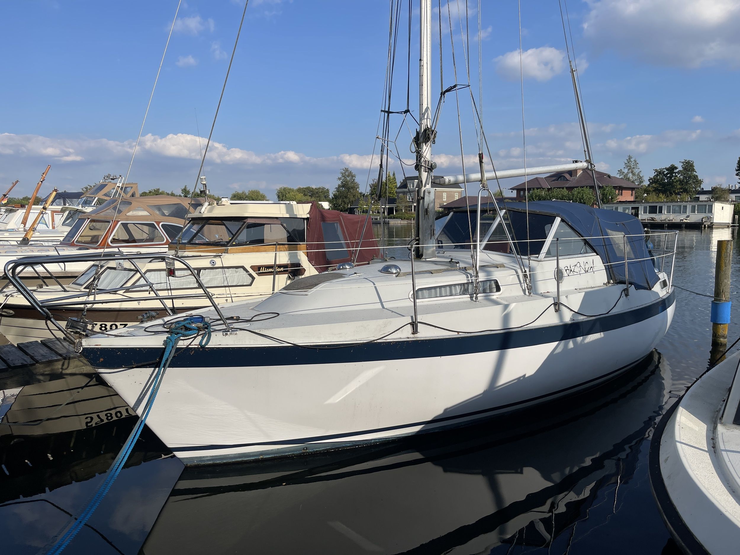 Albin 82 MS