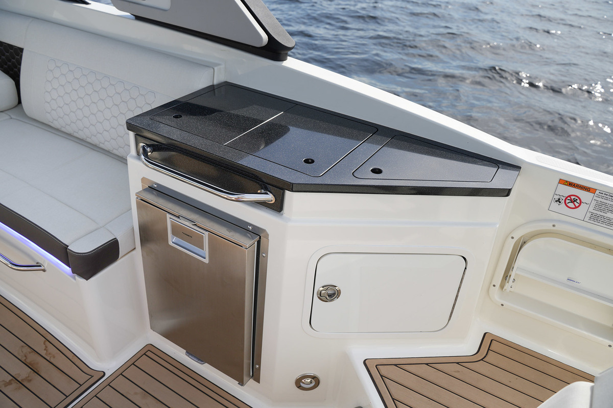 Sea Ray SDX 290 Outboard