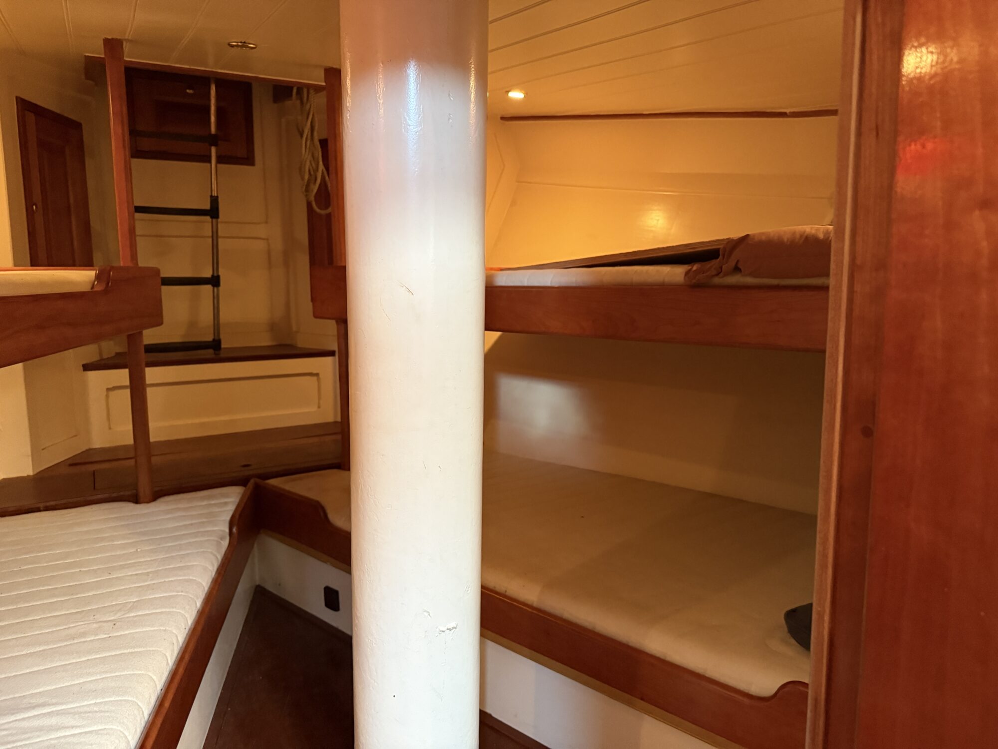 Noordzeekotter ‘WR 134’