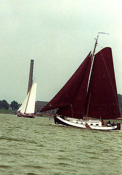 Blom Lemsteraak Roefaak 12.10