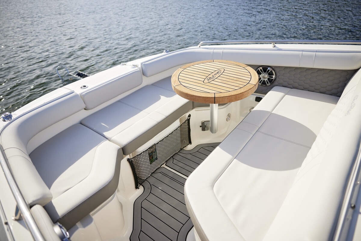 Sea Ray SDX 250