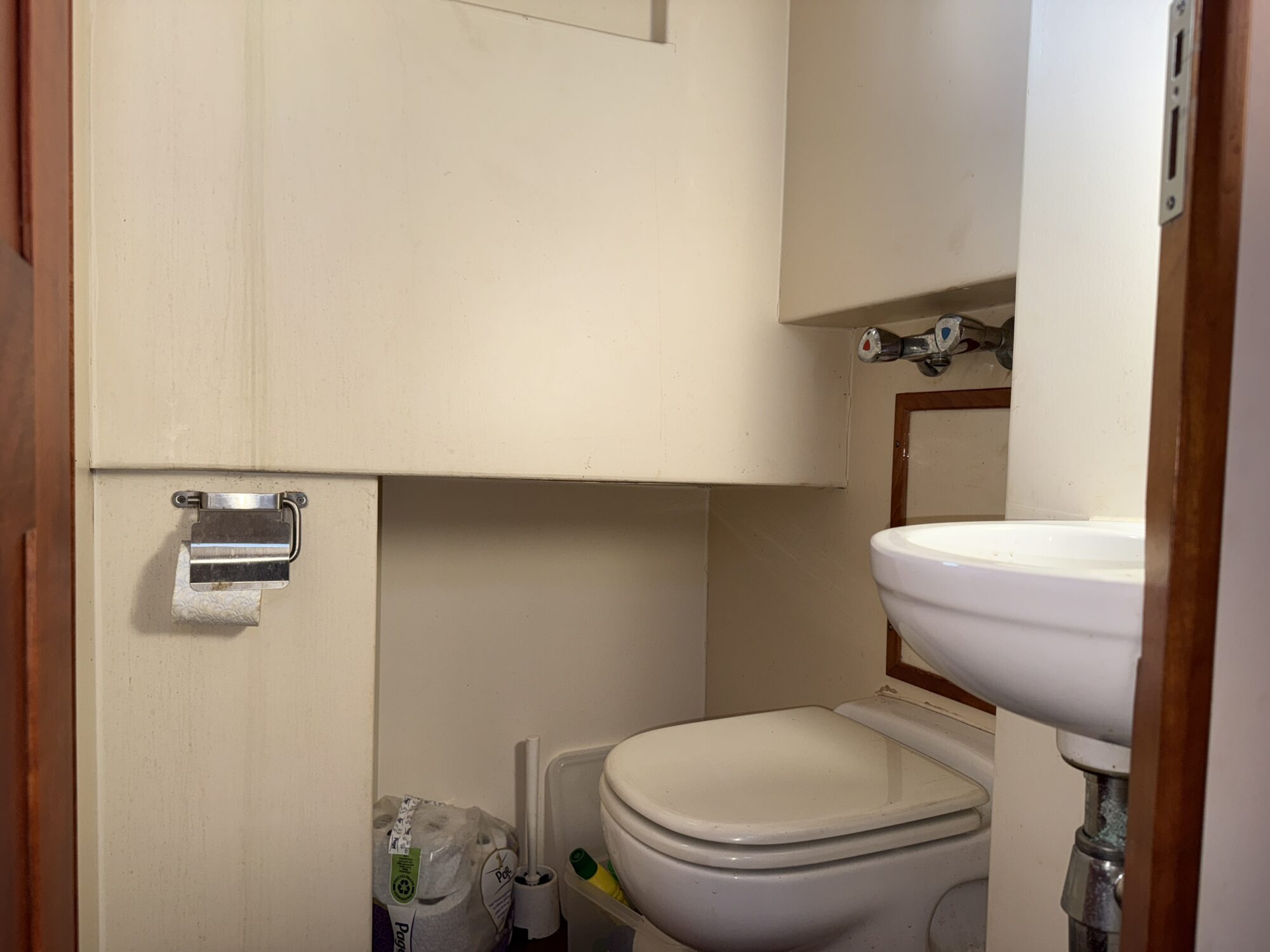 Noordzeekotter ‘WR 134’