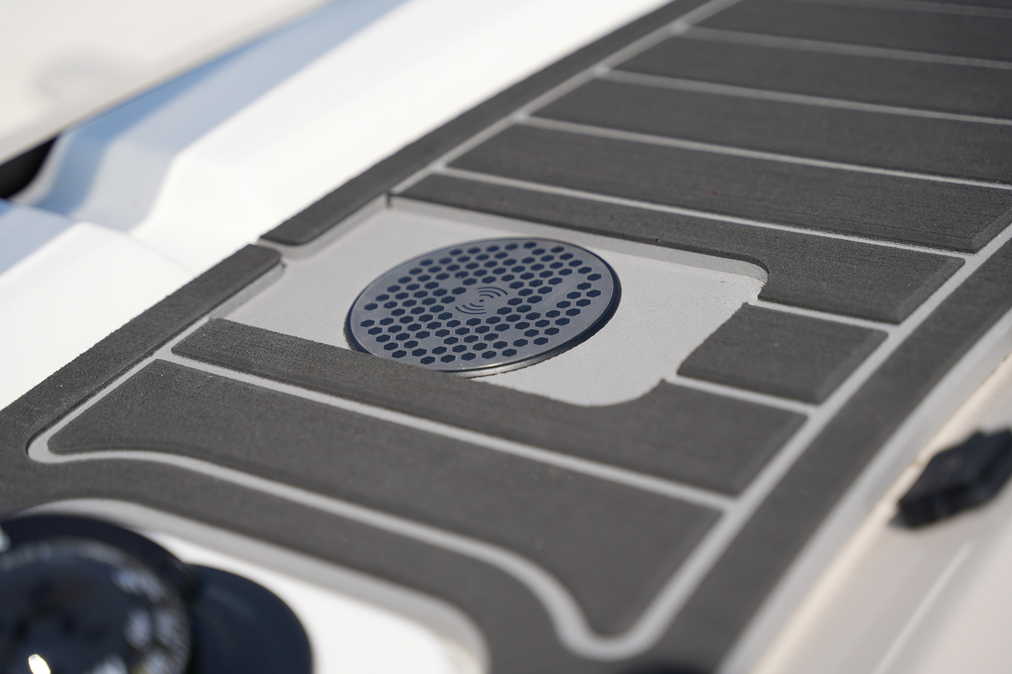 Boston Whaler 250 Dauntless