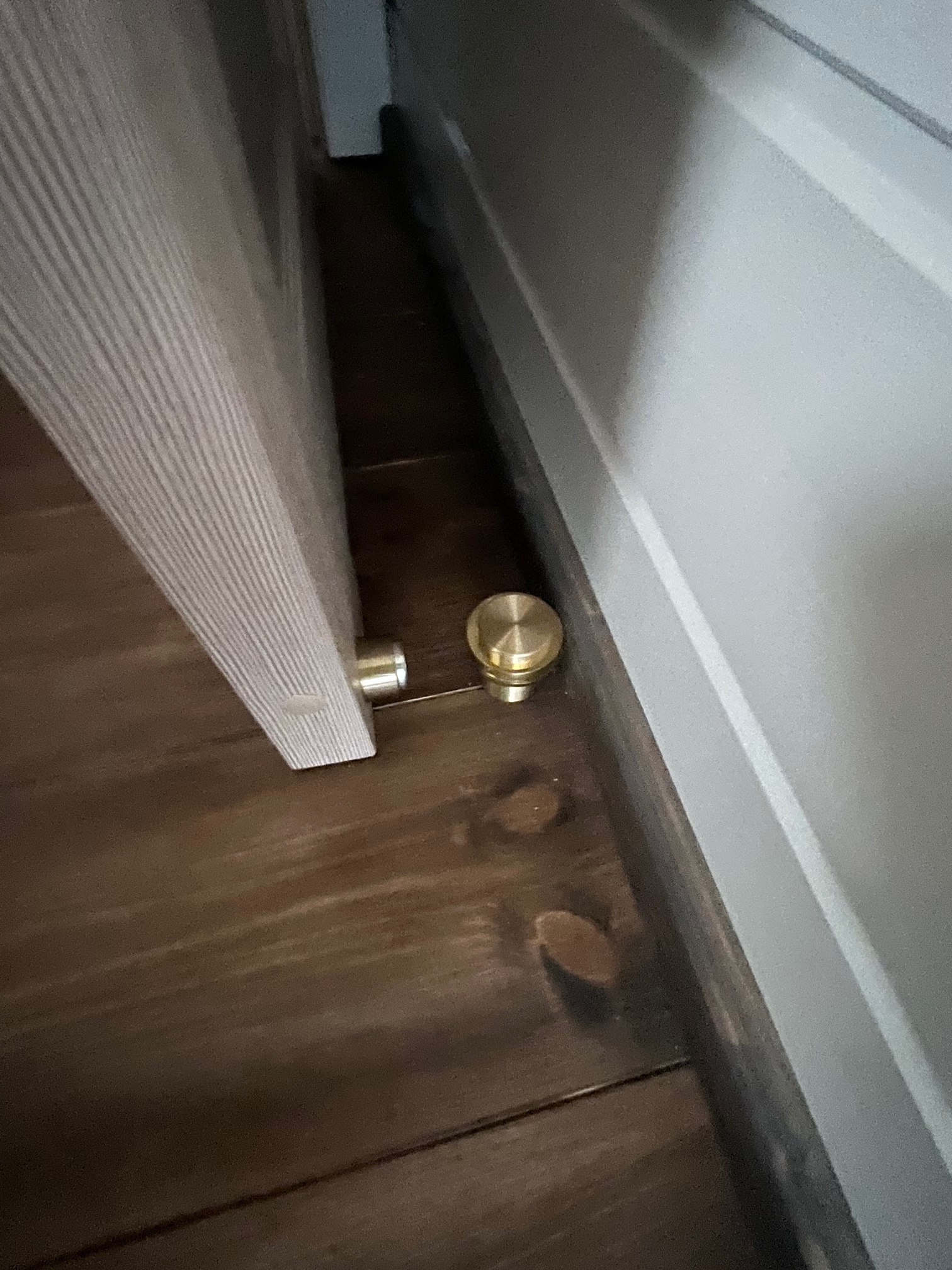 Nordic Season DEMO NS 40 Eco 23m2 Houseboat