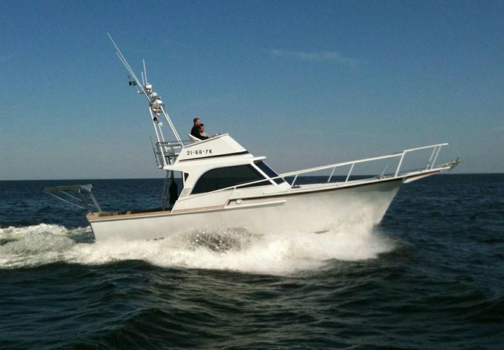 Striker Sport Fisher hoofdfoto: 1