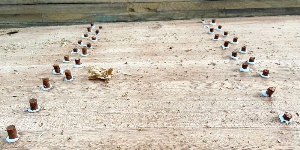 Canadese Kajuit Sloep Elektrisch Varend