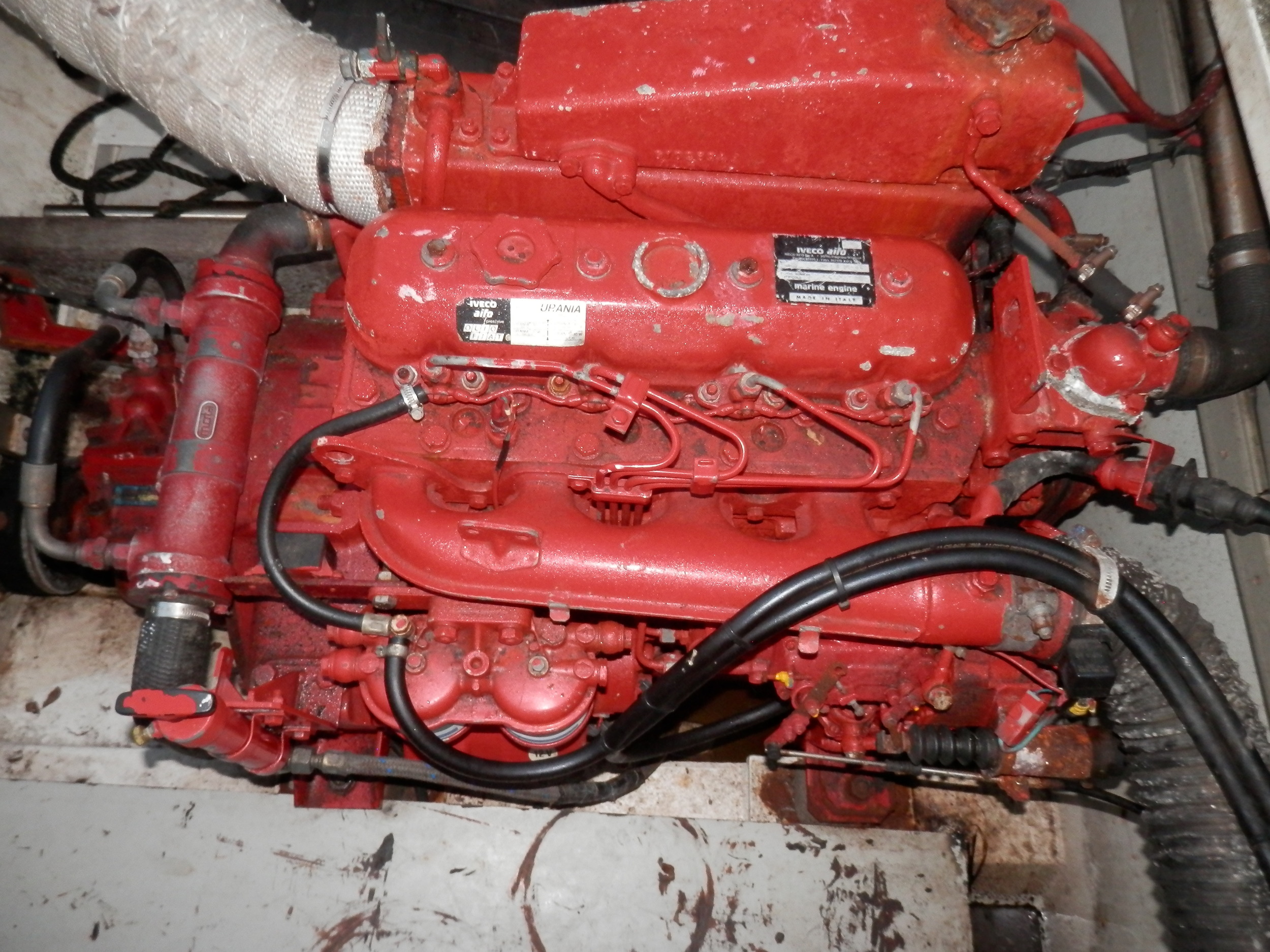 Blom Lemsteraak Roefaak 12.10