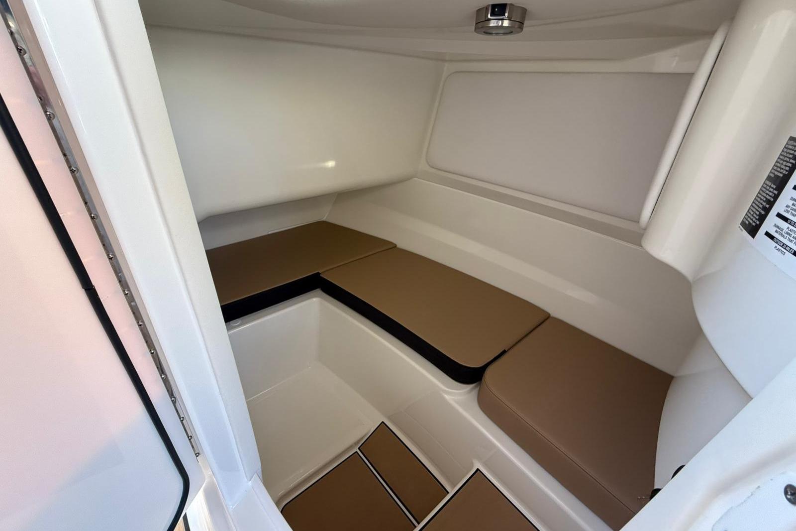 Sea Ray SDX 230
