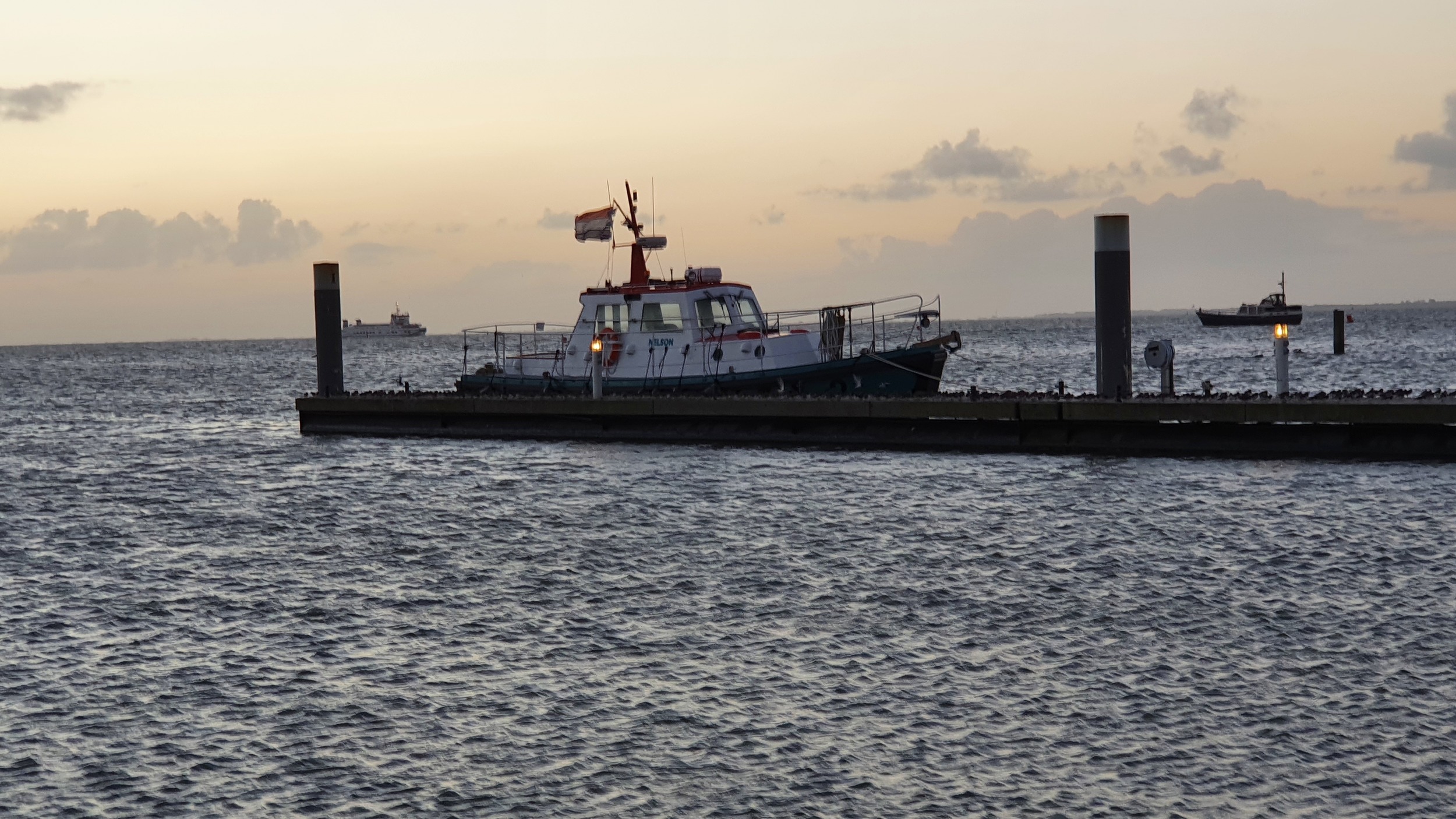 NELSON   Halmatic Pilot 40 FT