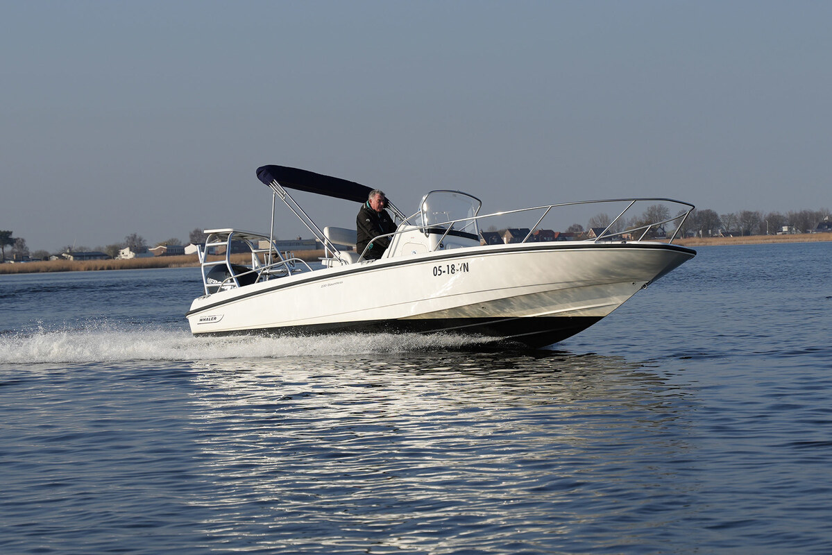 Boston Whaler 230 Dauntless