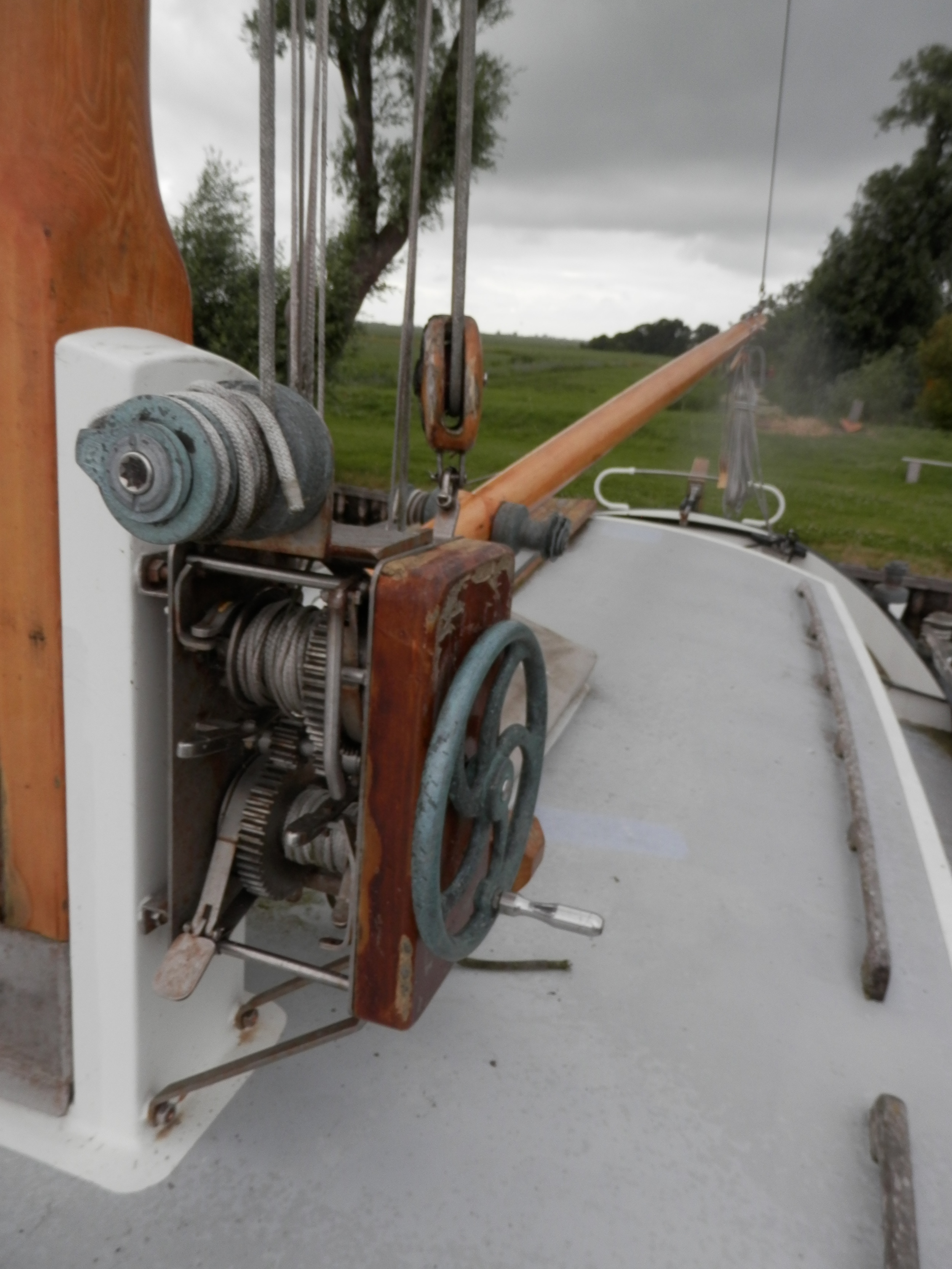 Blom Lemsteraak Roefaak 12.10