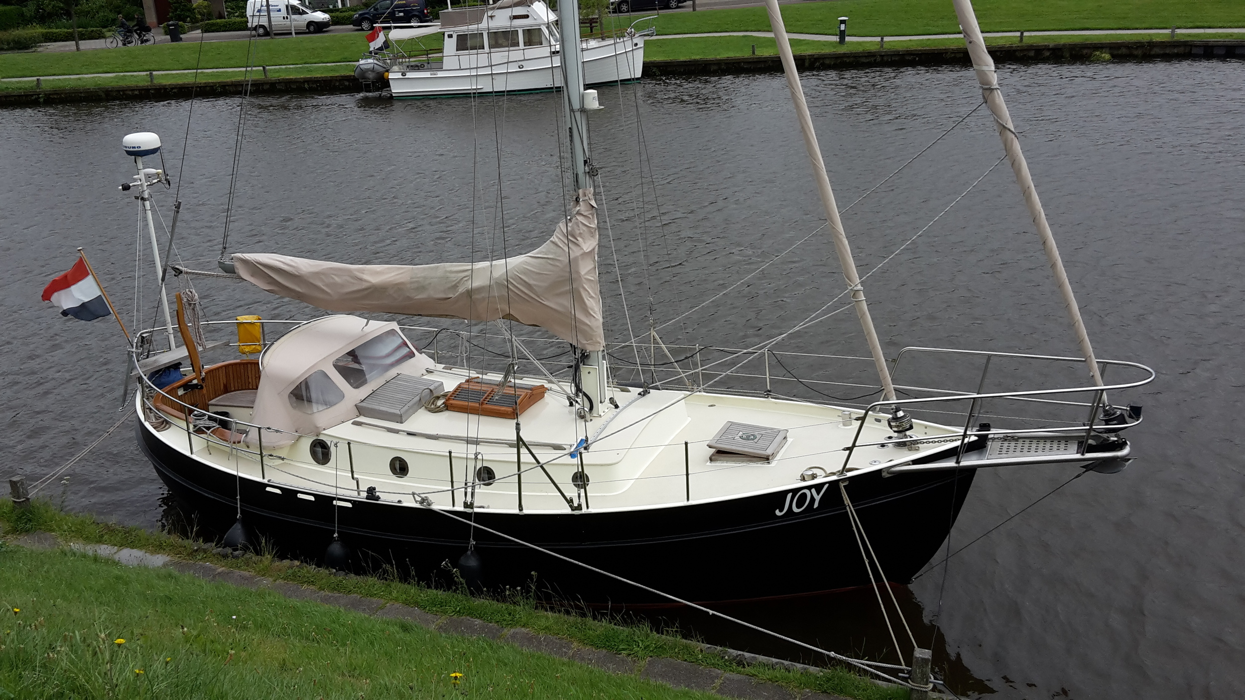 Danish Rose 31 hoofdfoto: 1